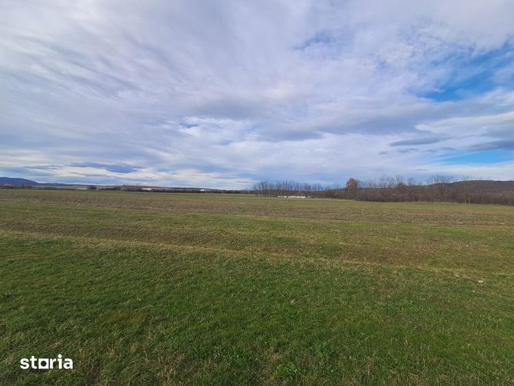 Teren de 500 mp, în Central