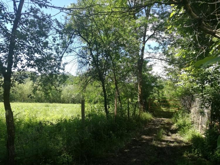 Teren de 1850 mp, în Calvini