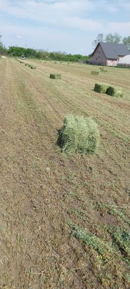 Teren de 2500 mp, în Tătărani