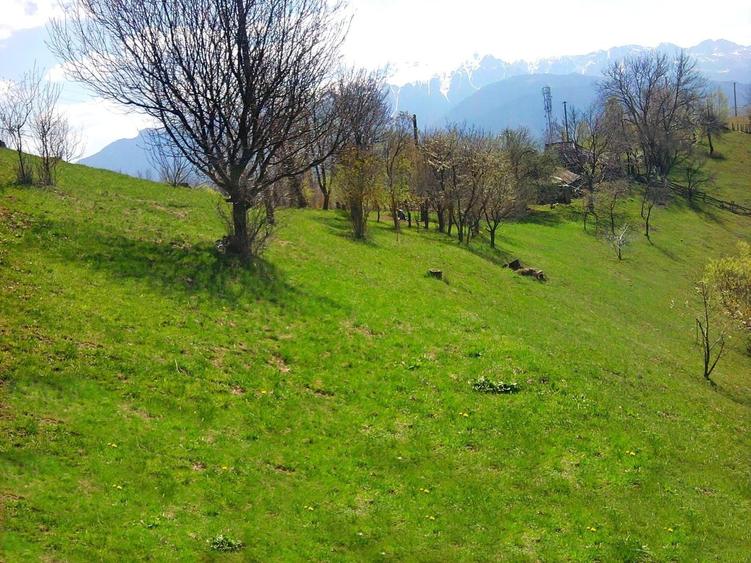 teren intravilan in zona Magura Bran - 23