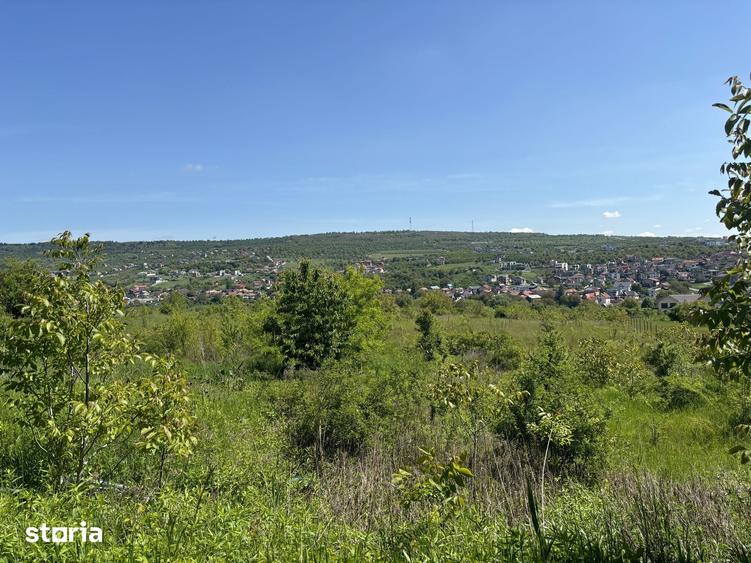 Tere intravilan Str Odobesti/Puz - 1
