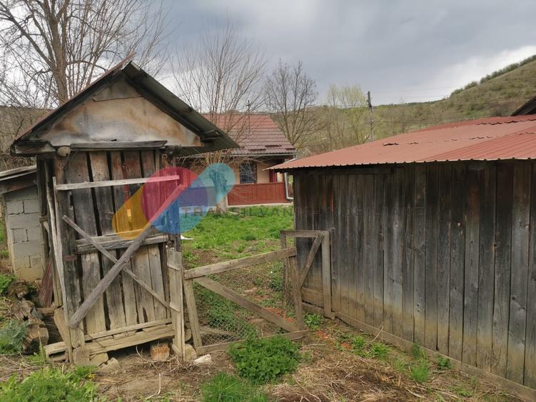 Casă individuală cu 3 camere cu Teren 8000 Mp în Mociu