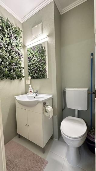 Apartament 3 camere de inchiriat in Marasti str Dorobantilor - 9