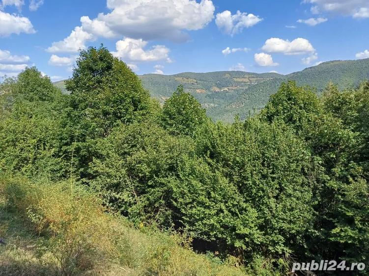 Teren de 3000 mp, în Măguri