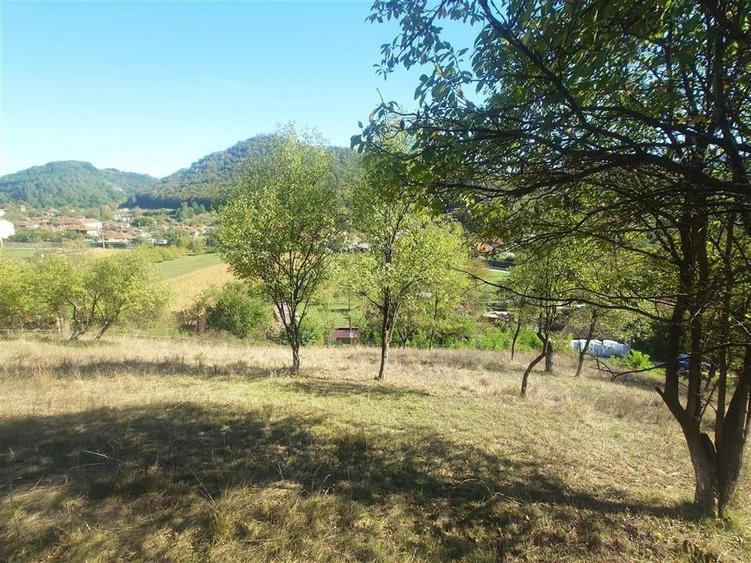 Teren Construcții extravilan de 14075 mp, în Crișcior