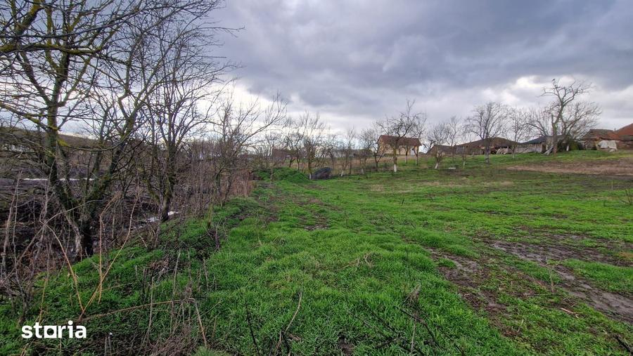 Teren de 664 mp, în Remetea Mare