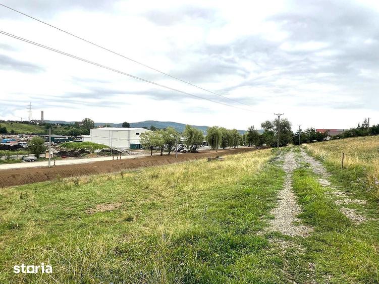 Teren de 6000 mp, în Nord