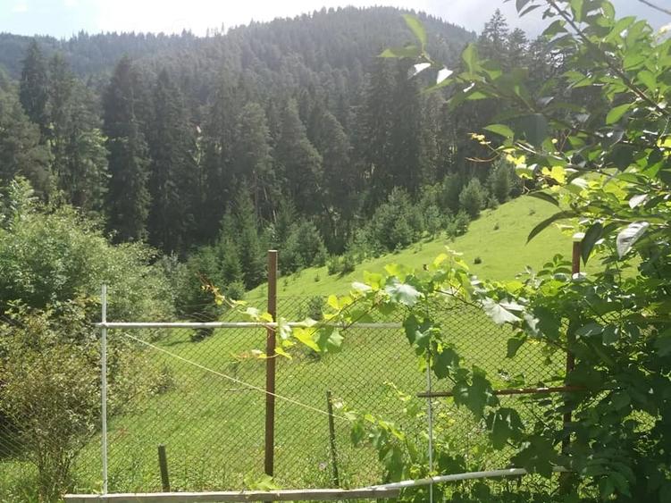 Teren de 2000 mp, în Central