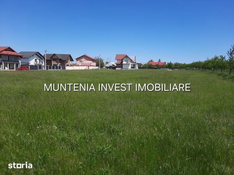 Teren de 630 mp, în Albota