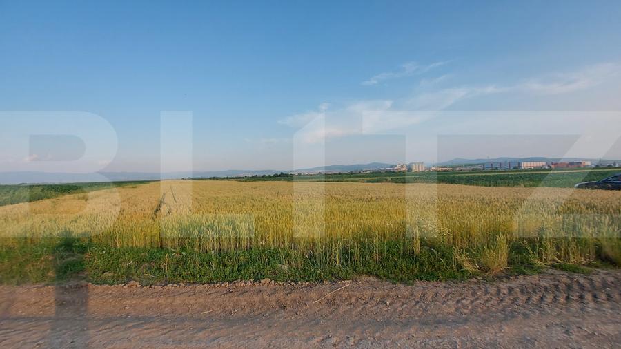 Teren agricol extravilan de 9900 mp, în Moacșa
