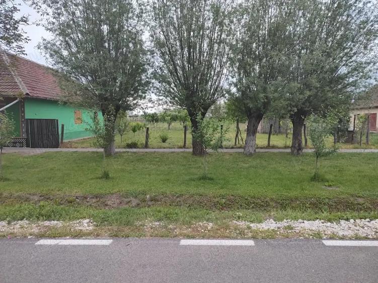 Teren de 1900 mp, în Rovinița Mare