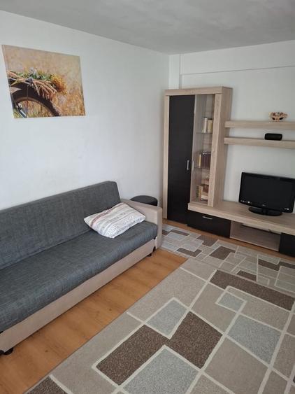 Apartamen 2 camere Lujerului - 3