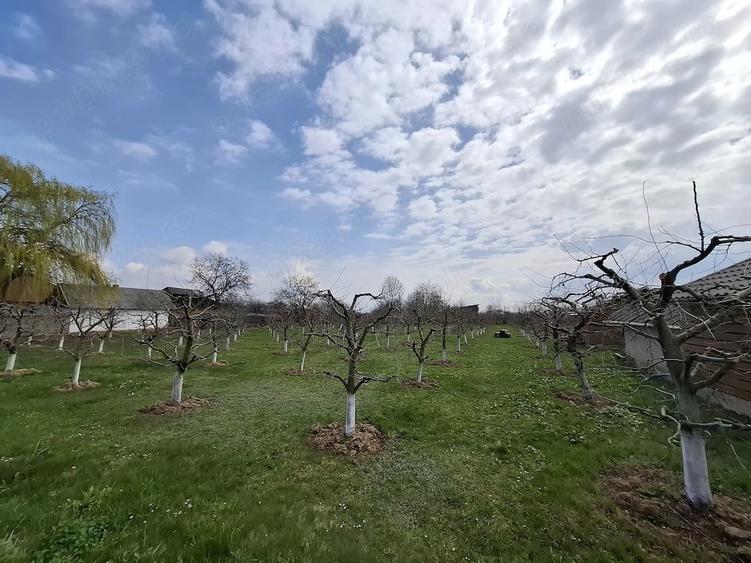 Teren de 2000 mp, în Răucești