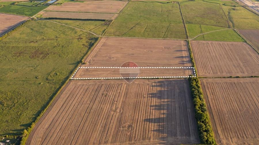 Teren agricol extravilan de 12500 mp, în Dumbrava