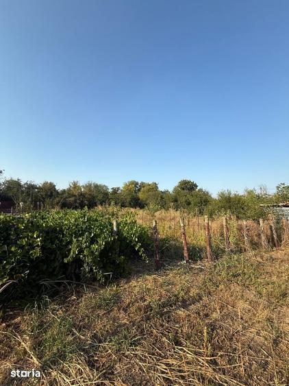 Casă cu 2 camere cu Teren 1029 Mp în Răsuceni
