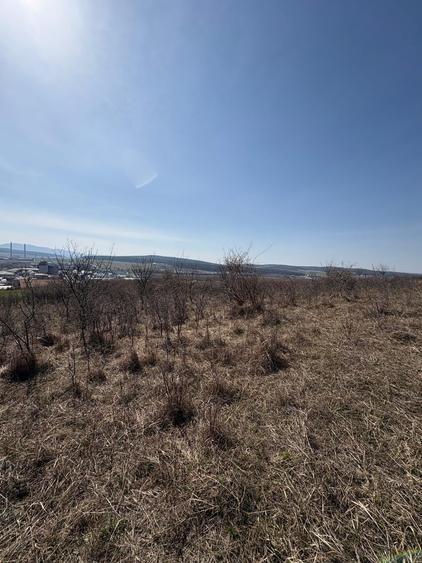 Teren Construcții intravilan de 5800 mp, în Crișeni
