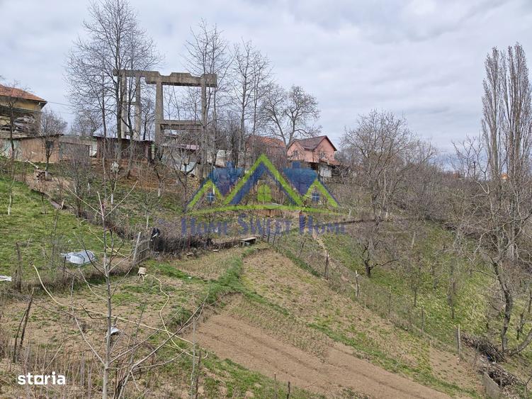 Casa de vanzare in Ghelari liniste, natura si spatiu generos! Schimb - 10