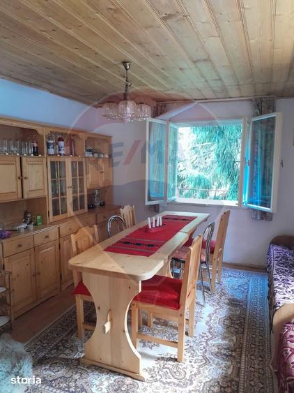 Cabana de vanzare in Muntele Bai?orii Zona Jera - 7