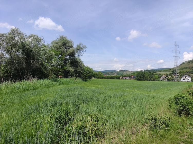 Teren de 1523 mp, în Vultureni