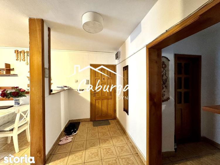 Apartament cu 3 camere decomandat, mobilat în Terezian