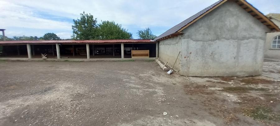 Casă individuală cu 3 camere cu Teren 5060 Mp în Ciobănița