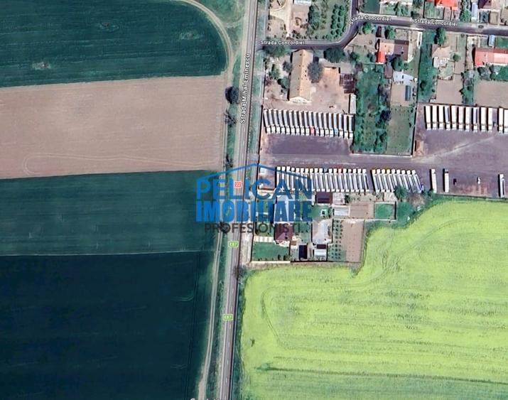 Teren Construcții intravilan de 4000 mp, în Mihail Kogălniceanu