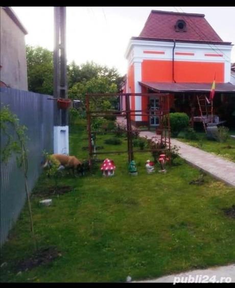 Casă cu 4 camere cu Teren 590 Mp în Central