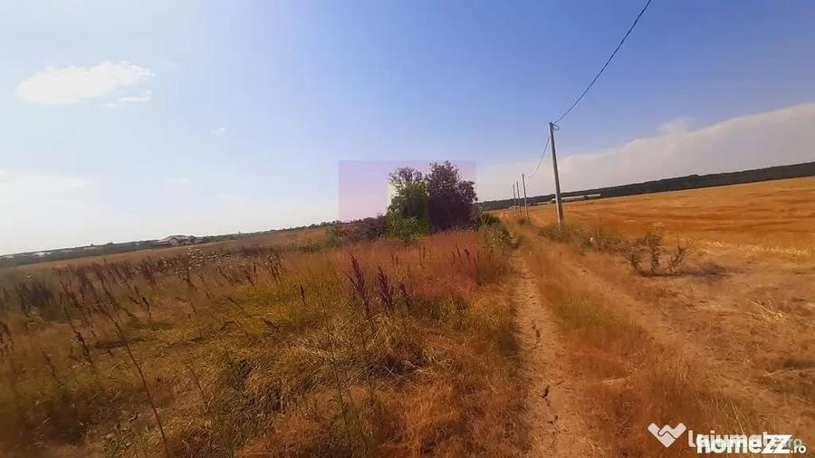 Teren de 2000 mp, în Brănești