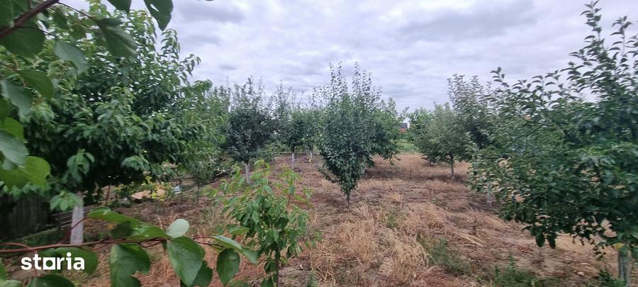 Casă cu 5 camere cu Teren 1000 Mp în Răchiți