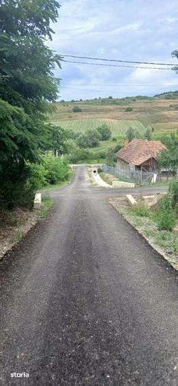 Casă cu 2 camere cu Teren 7000 Mp în Central