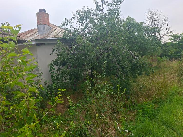 Casă individuală cu 3 camere cu Teren 1000 Mp în Didești