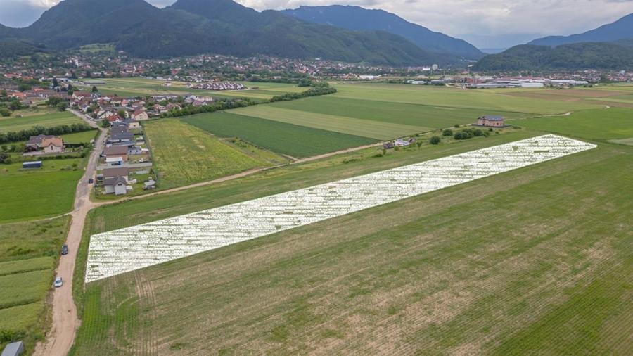 Teren agricol extravilan de 400 mp, în Turcheș