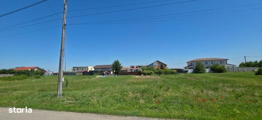 Teren Premium De Vanzare In Dumbravita Langa Padure - 1