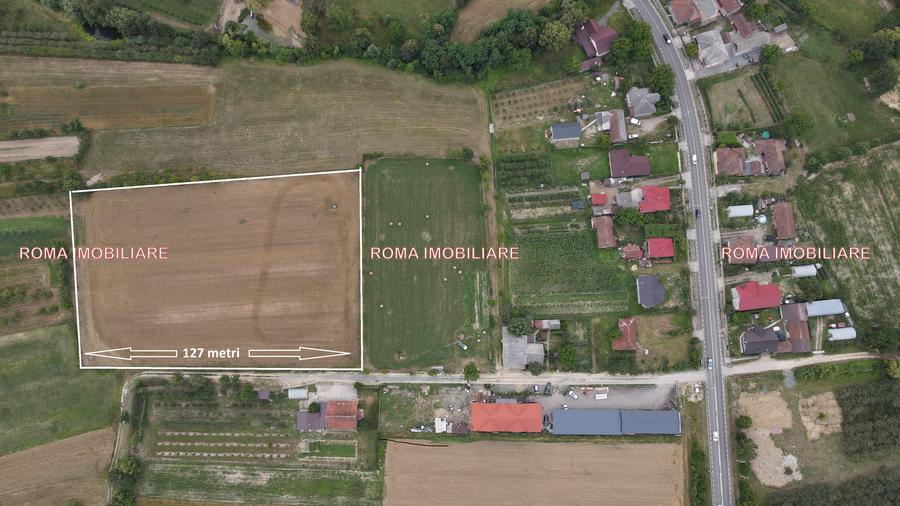 TEREN INTRAVILAN DE VÂNZARE – ȘOMCUTA MARE, MARAMUREȘ - 6