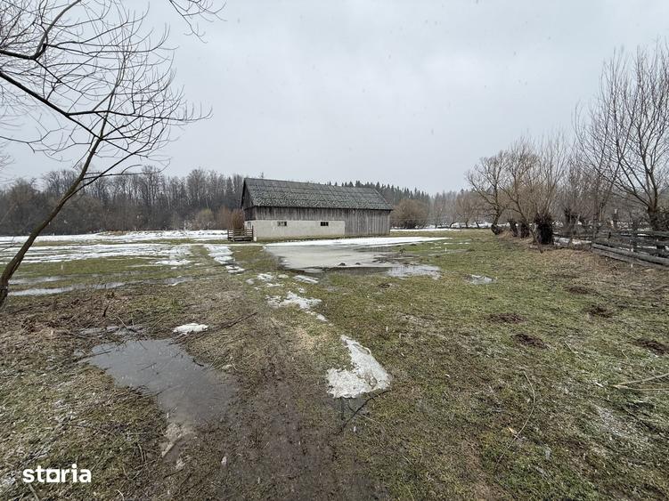 Teren de 3600 mp, în Horodnic