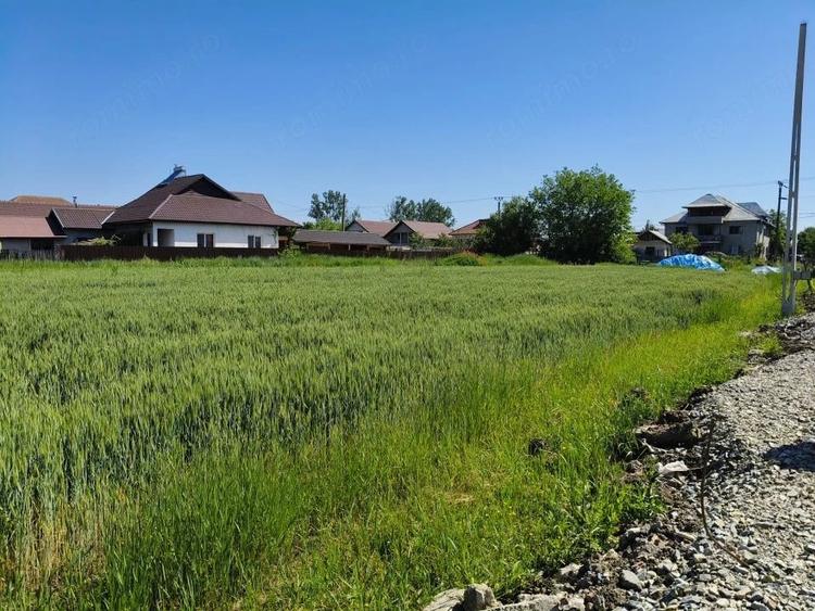 Teren de 10294 mp, în Sud