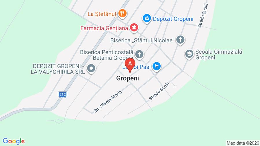 Teren agricol extravilan de 10000 mp, în Gropeni
