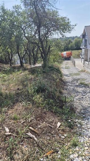 Teren Construcții intravilan de 3600 mp, în Podgoria