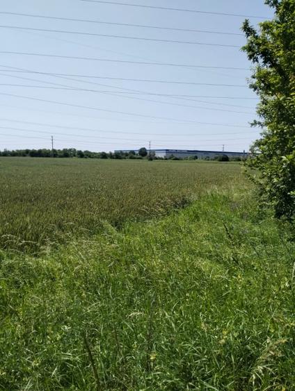 Teren agricol extravilan de 7360 mp, în Oarja