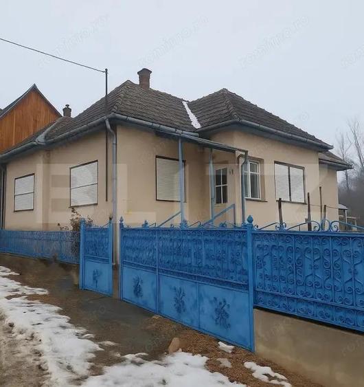 Casă cu Teren 1315 Mp în Mănăstireni