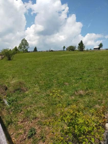 Vand teren in Maguri, comuna Maguri-Racatau, Jud.Cluj - 2