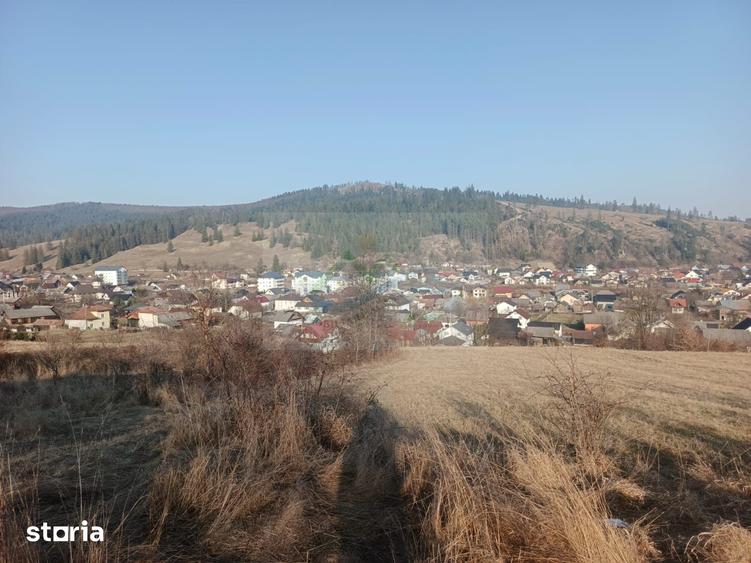 Teren de 3000 mp, în Curtești