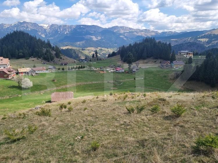 Teren Construcții intravilan de 16874 mp, în Fundata