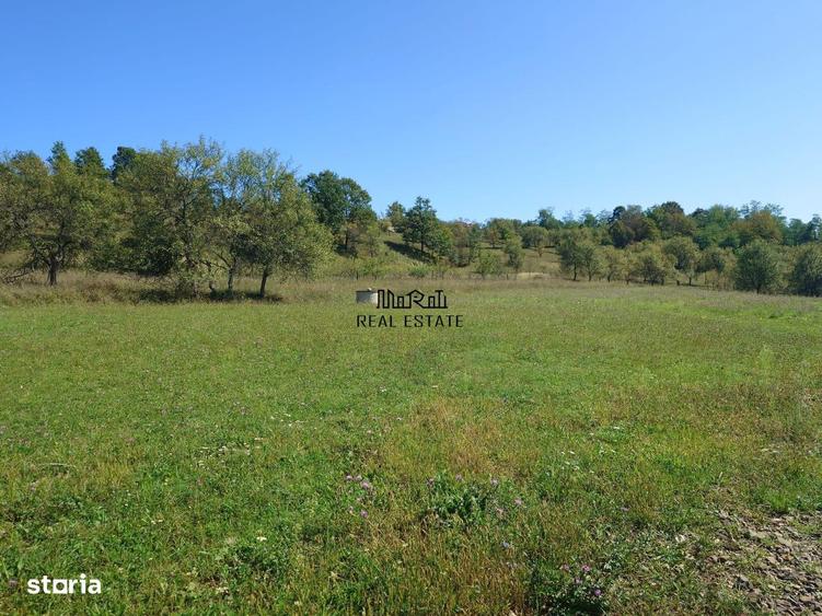 Teren de 8757 mp, în Luncoiu de Jos