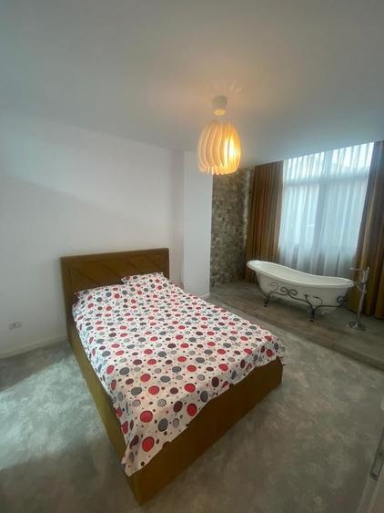 Apartament 2 camere mobilat si utilat, Valea Adanca - 12