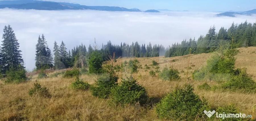 Teren în Central