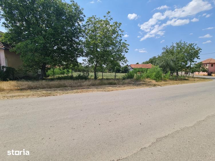 Teren de 1300 mp, în Bocsig