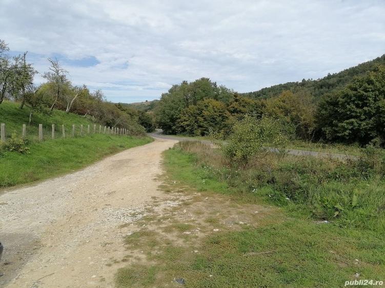 Teren de 30000 mp, în Central