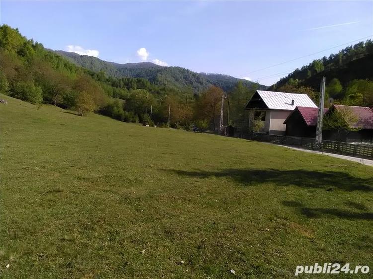 Teren de 5500 mp, în Pietroasa