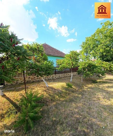 Casă cu 3 camere cu Teren 2880 Mp în Olari
